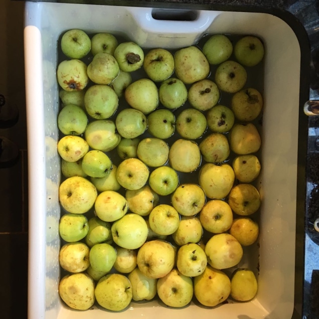 apples matt